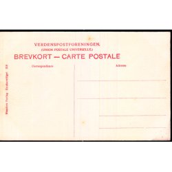 Kbenhavn - En Festaften i Tivoli - Stender 316