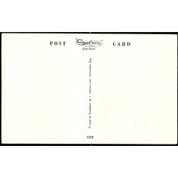 S.S. Saxonia - Cunard Line - Salmon 5338 - Ubrugt