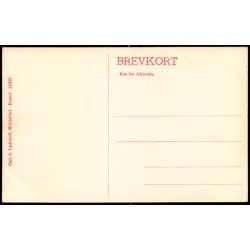 Middelfart - Algade - Carl S. Ladehoffs Bogh. 12628 - Ubrugt