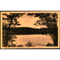 Silkeborg - Parti fra Almind S� - Stender 41016 - Brugt