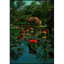 Gavn - Nstved - Top Card 916 - Ubrugt