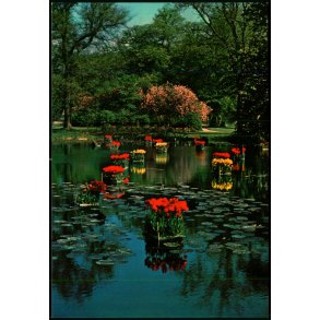 Gavn - Nstved - Top Card 916 - Ubrugt