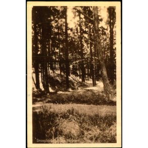 Granplantage - Tisvildeleje - Stationskiosken u/n - Brugt