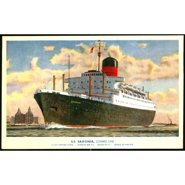 S.S. Saxonia - Cunard Line - Salmon 5338 - Ubrugt