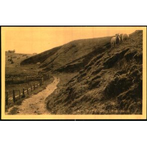 Parti fra Mllebakken i Frederikssund - Nielsens Bogh. 47788 - Ubrugt