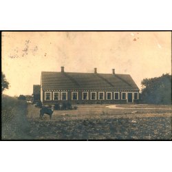 Vejringe 20 juli 1913 - Fotokort u/n - Brugt