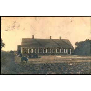 Vejringe 20 juli 1913 - Fotokort u/n - Brugt