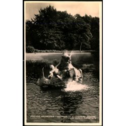 Odense - Havhesten i Munkemose - Stender 14 - Brugt