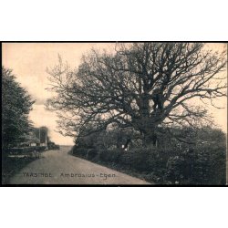 Taasinge - Ambrosius- Egen - Stender 11160 - Ubrugt