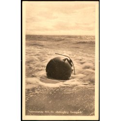 Holmsland Klit - En ubehagelig Badeg�st - N.P. Holms Bogh. 41971 - Ubrugt