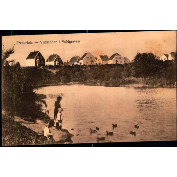 Fredericia - Vild�nder i Voldgraven - J.A.F. 960 - Ubrugt