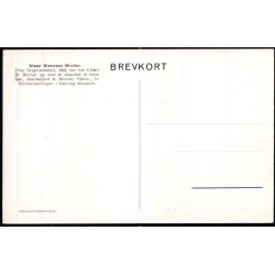 Steen Steensen Blicher i Herning Museum  - u/n - Ubrugt