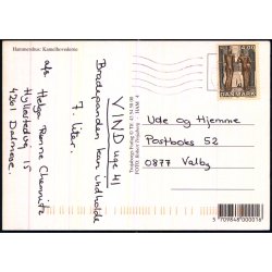 Hammershus - Kamerlhovedeerne - Trojaborg HAM 4 - Brugt