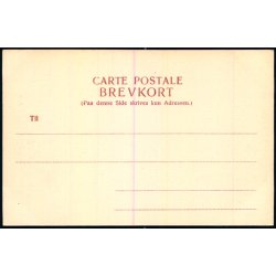 Kbenhavn - Raadhuset set fra Tivoli - Alex Vincent 16 - Ubrugt