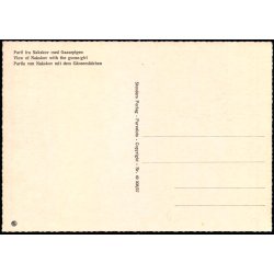 Parti fra Nakskov med Gaasepigen - Stender 49 308/27 - Ubrugt