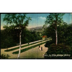 Parti fra Kilde-Anlget - Aalborg - C&P 28 - Ubrugt