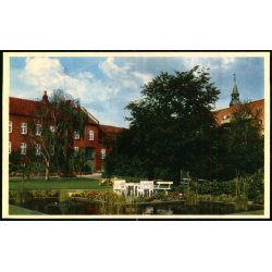 Randers - Fra Hospitalhaven - Stender 6 - Ubrugt