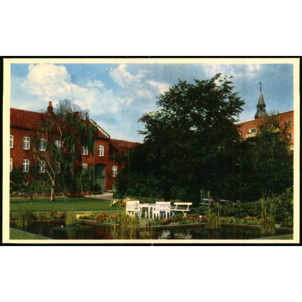 Randers - Fra Hospitalhaven - Stender 6 - Ubrugt