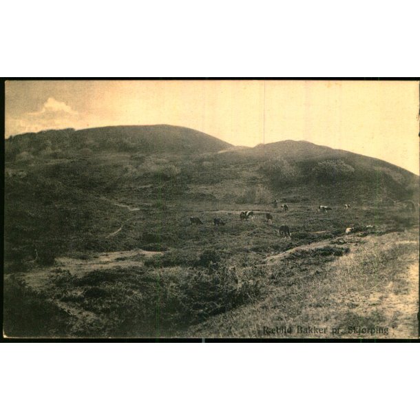 Rebild Bakker pr. Sk�rping - I. Hansen 2895 - Brugt