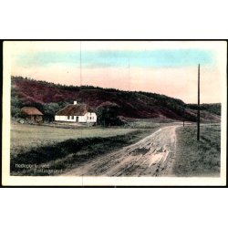 Hedeparti  ved Sallingsund - Stender N.M. 25 - Brugt