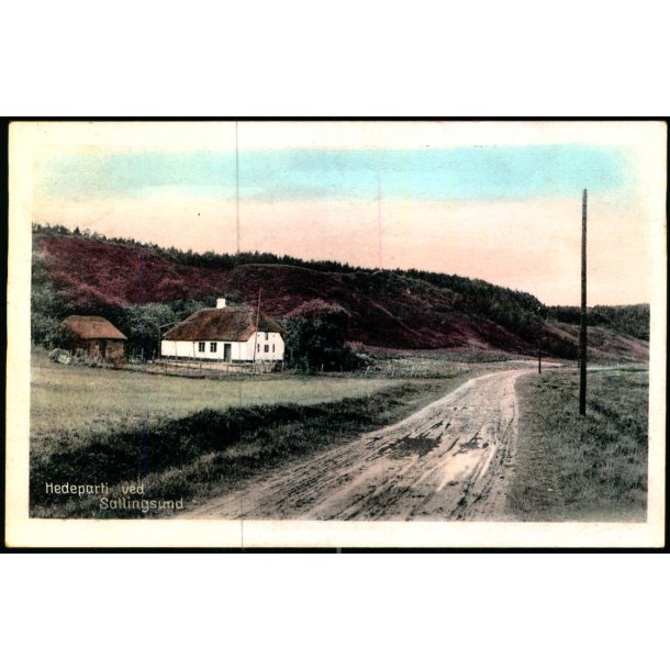 Hedeparti  ved Sallingsund - Stender N.M. 25 - Brugt