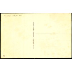 Flaget hejses ved Dybb�l-M�lle - Stender 13 - Ubrugt