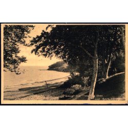 Udsigt fra Moesgaard Skov ved Aarhus - Stender 37853 - Ubrugt