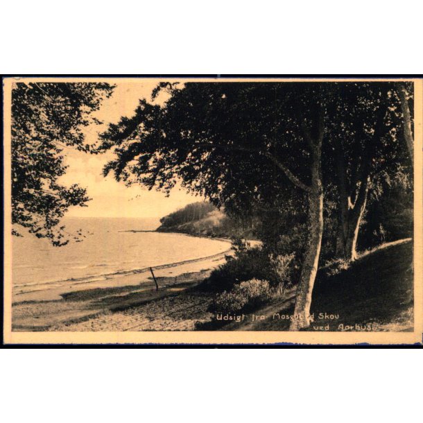 Udsigt fra Moesgaard Skov ved Aarhus - Stender 37853 - Ubrugt
