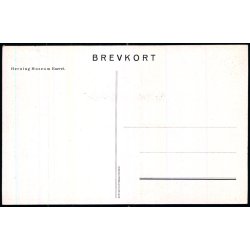 Jyden han  strk og sej - St .St. Blicher i Herning Museum  - u/n - Ubrugt