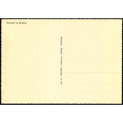 Bulbjerg med Skarreklit - Bornerup 33/1 - Ubrugt