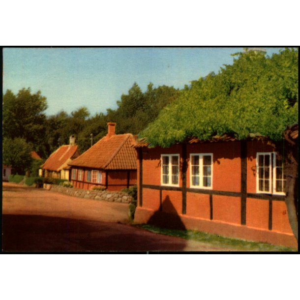 Bornholm - Parti fra Sandvig - Stender 104 - Ubrugt