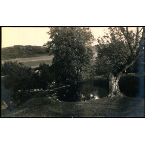 Mlle - Femmller - Fotokort Edv. Monsrud u/n - Ubrugt