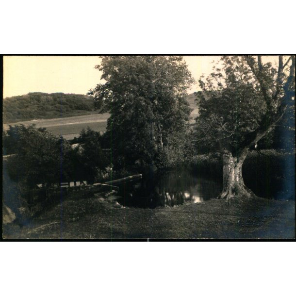 Mlle - Femmller - Fotokort Edv. Monsrud u/n - Ubrugt