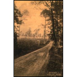 Skovvej i Tisvilde Hegn - S. Nielsen u/n - Ubrugt