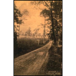 Skovvej i Tisvilde Hegn - S. Nielsen u/n - Ubrugt