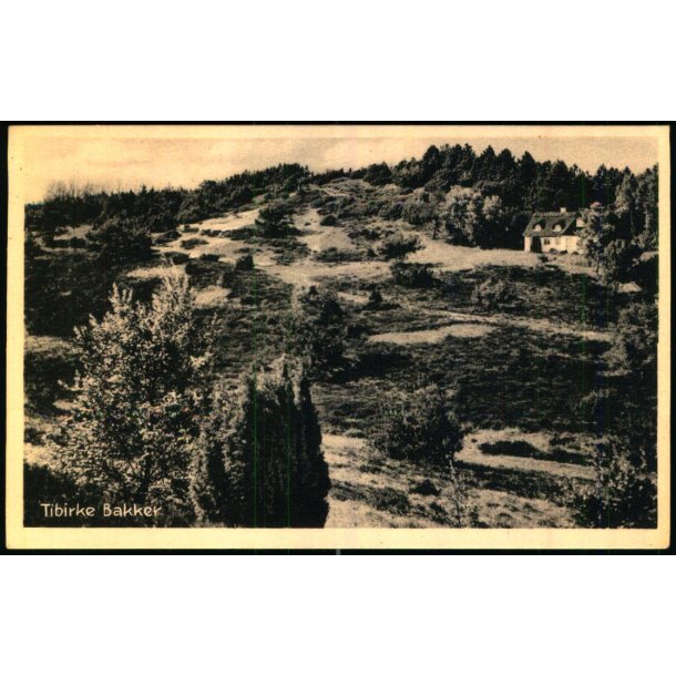 Tibirke Bakker - P. Thuneby 11 - Brugt