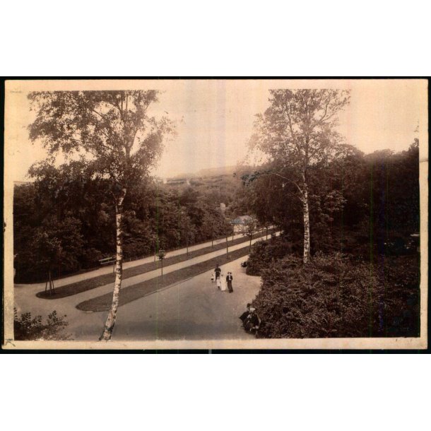 Parti fra Kilde-Anlget - Aalborg - Elfeldt 28 - Prvekort ?