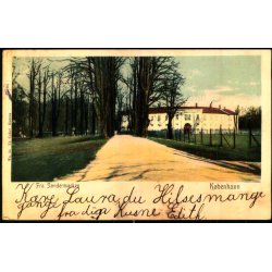 Kbenhavn - Fra Sndermarken - Th. Cohrt 24 - Brugt