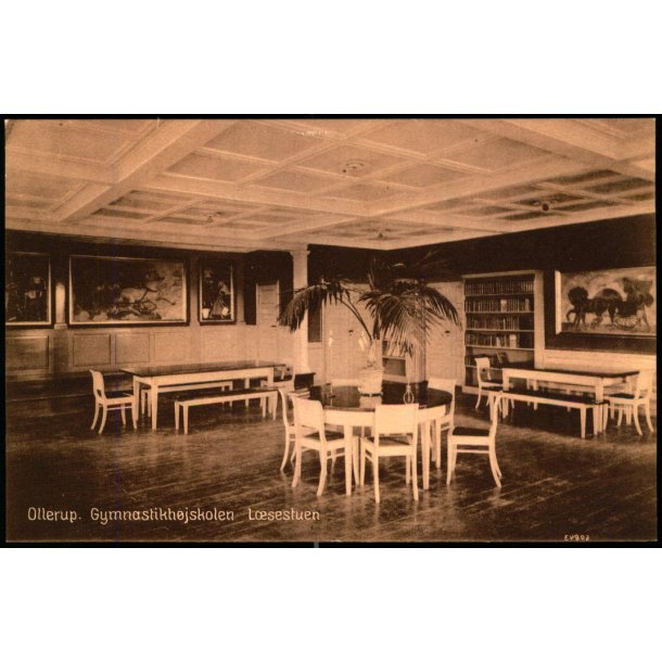 Ollerup -  Gymnastikh�jskolen - L�sestuen - Anine Brydegaard 60843 - Ubrugt