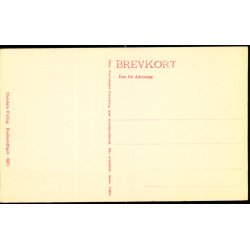 Hotel Bristol - Kbenhavn - C. St. 3875