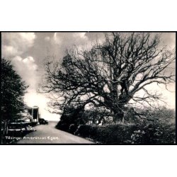 Taasinge - Ambrosius- Egen - Stender 37 K - Ubrugt