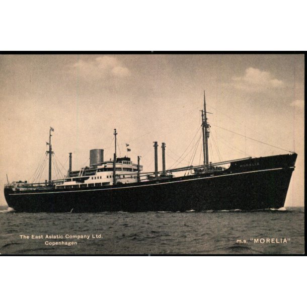  M/S "Morelia" - The East Asiatic Compagany Ltd. - u/n - Ubrugt