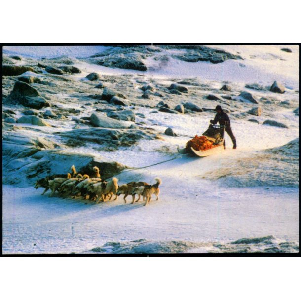 Hejm fra fangst - Alfi s Foto u/n - Brugt