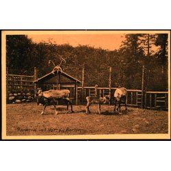 Renerne ved Varna - Aarhus - Otto J�rgensen 29224 - Ubrugt