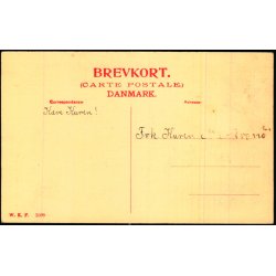 Aalborg - Ellen Marsvins Hus - W.K.F. 2599 - Ubrugt