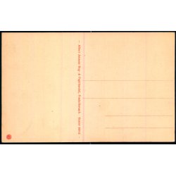 Birkeskov - Tisvilde Hegn - A. Jensens Bogh. 38512 - Ubrugt