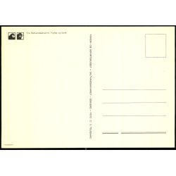 Esbjerg - Fra Salltvandsskvariet - Pighaj og Torsk - Fiskeri og S�fartsmuseet - u/n - Ubrugt