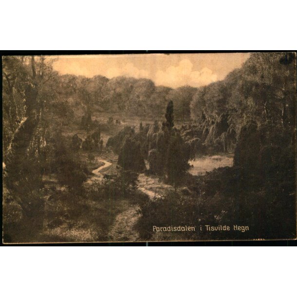 Paradisdalen i Tisvilde Hegn - S. Nielsen 58907 - Ubrugt