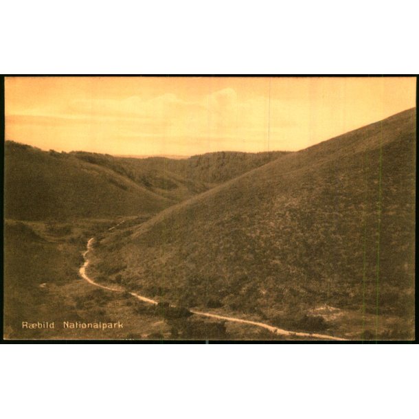 S�nderkol - Rebild - Sk�rping Bogh. 1405 - Ubrugt