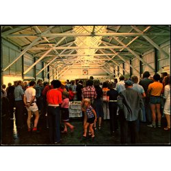 Skagen - Fiskeauktionen - V. Asmussen 172 - Ubrugt